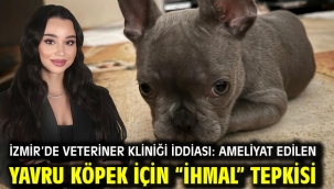 İzmir'de Veteriner Kliniği İddiası: Ameliyat Edilen Yavru Köpek İçin "İhmal" Tepkisi