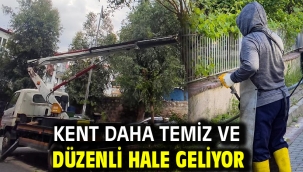 Kent Daha Temiz Ve Düzenli Hale Geliyor