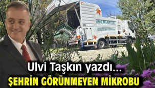 Şehrin Görünmeyen Mikrobu