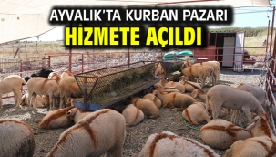 Ayvalık'ta Kurban Pazarı Hizmete Açıldı