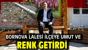 Bornova Lalesi ilçeye umut ve renk getirdi