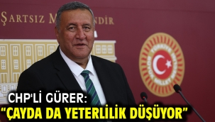 CHP'li GÜRER: "ÇAYDA DA YETERLİLİK DÜŞÜYOR"