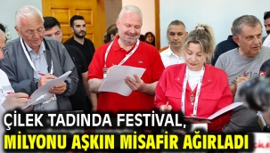 Çilek tadında festival, milyonu aşkın misafir ağırladı