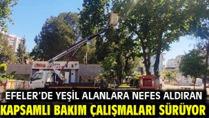 EFELER'DE YEŞİL ALANLARA NEFES ALDIRAN KAPSAMLI BAKIM ÇALIŞMALARI SÜRÜYOR