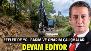 Efeler'de Yol Bakım Ve Onarım Çalışmaları Devam Ediyor