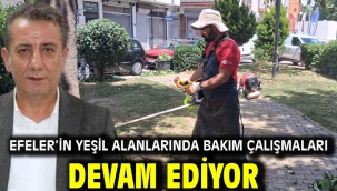 Efeler'in Yeşil Alanlarında Bakım Çalışmaları Devam Ediyor