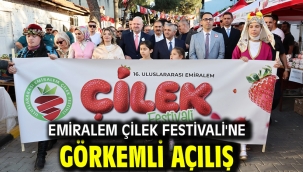 Emiralem Çilek Festivali'ne görkemli açılış