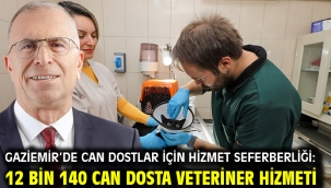 Gaziemir'de can dostlar için hizmet seferberliği: 12 bin 140 can dosta veteriner hizmeti