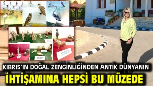 Kıbrıs'ın Doğal Zenginliğinden Antik Dünyanın İhtişamına Hepsi Bu Müzede