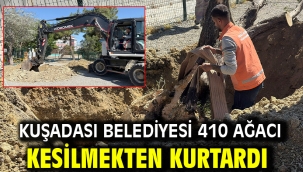 Kuşadası Belediyesi 410 Ağacı Kesilmekten Kurtardı