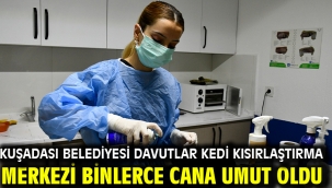 Kuşadası Belediyesi Davutlar Kedi Kısırlaştırma Merkezi Binlerce Cana Umut Oldu