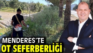 Menderes'te Ot Seferberliği