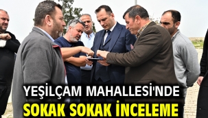 Yeşilçam Mahallesi'nde sokak sokak inceleme