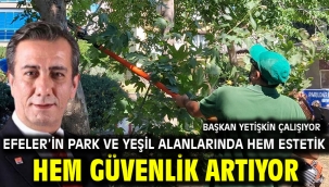 BAŞKAN YETİŞKİN ÇALIŞIYOR EFELER'İN PARK VE YEŞİL ALANLARINDA HEM ESTETİK HEM GÜVENLİK ARTIYOR