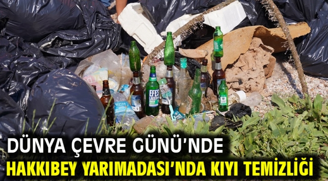 Dünya Çevre Günü'nde Hakkıbey Yarımadası'nda Kıyı Temizliği