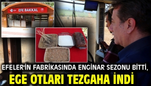 Efeler'in Fabrikasında Enginar Sezonu Bitti, Ege Otları Tezgaha İndi
