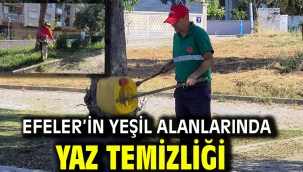 EFELER'İN YEŞİL ALANLARINDA YAZ TEMİZLİĞİ