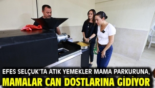 Efes Selçuk'ta atık yemekler mama parkuruna, mamalar can dostlarına gidiyor