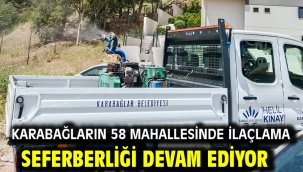 Karabağların 58 Mahallesinde İlaçlama Seferberliği Devam Ediyor 