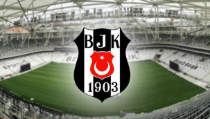 Kartal'a tangocu kanat