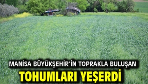Manisa Büyükşehir'in Toprakla Buluşan Tohumları Yeşerdi