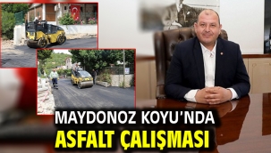 Maydonoz Koyu'nda Asfalt Çalışması