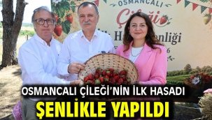 OSMANCALI ÇİLEĞİ'NİN İLK HASADI ŞENLİKLE YAPILDI