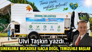 Sineklerle Mücadele İlaçla Değil, Temizlikle Başlar