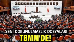 Yeni dokunulmazlık dosyaları TBMM'de!