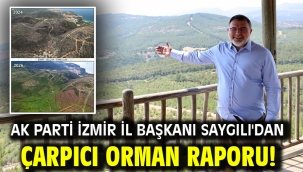 AK Parti İzmir İl Başkanı Saygılı'dan çarpıcı orman raporu!