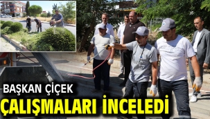 Başkan Çiçek Çalışmaları İnceledi