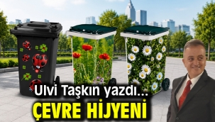 Çevre Hijyeni 