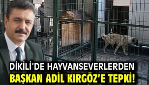 Dikili'de hayvanseverlerden Başkan Adil Kırgöz'e tepki!