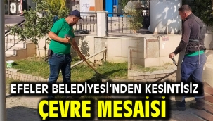 EFELER BELEDİYESİ'NDEN KESİNTİSİZ ÇEVRE MESAİSİ