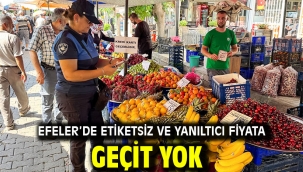 EFELER'DE ETİKETSİZ VE YANILTICI FİYATA GEÇİT YOK