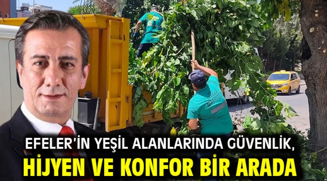EFELER'İN YEŞİL ALANLARINDA GÜVENLİK, HİJYEN VE KONFOR BİR ARADA