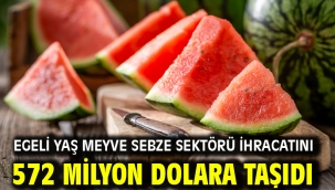 Egeli yaş meyve sebze sektörü ihracatını 572 milyon dolara taşıdı