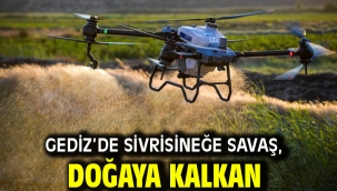 Gediz'de sivrisineğe savaş, doğaya kalkan
