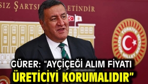 GÜRER: "AYÇİÇEĞİ ALIM FİYATI ÜRETİCİYİ KORUMALIDIR"  