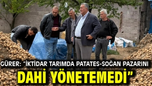 Gürer: "İktidar tarımda patates-soğan pazarını dahi yönetemedi"