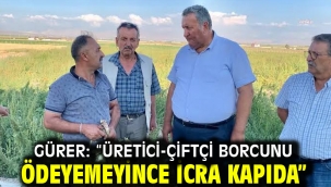 GÜRER: "ÜRETİCİ-ÇİFTÇİ BORCUNU ÖDEYEMEYİNCE İCRA KAPIDA"