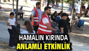 HAMALIN KIRINDA ANLAMLI ETKİNLİK