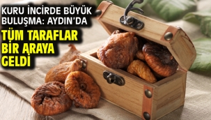 Kuru incirde büyük buluşma: Aydın'da tüm taraflar bir araya geldi