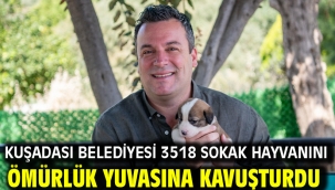 KUŞADASI BELEDİYESİ 3518 SOKAK HAYVANINI ÖMÜRLÜK YUVASINA KAVUŞTURDU
