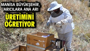 Manisa Büyükşehir, Arıcılara Ana Arı Üretimini Öğretiyor