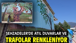 ŞEHZADELER'DE ATIL DUVARLAR VE TRAFOLAR RENKLENİYOR