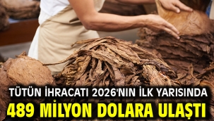 Tütün ihracatı 2026'nın ilk yarısında 489 milyon dolara ulaştı