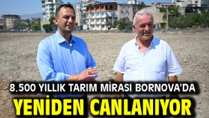 8.500 yıllık tarım mirası Bornova'da yeniden canlanıyor
