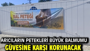 Arıcıların Petekleri Büyük Balmumu Güvesine Karşı Korunacak