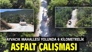 Ayvacık Mahallesi Yolunda 6 Kilometrelik Asfalt Çalışması